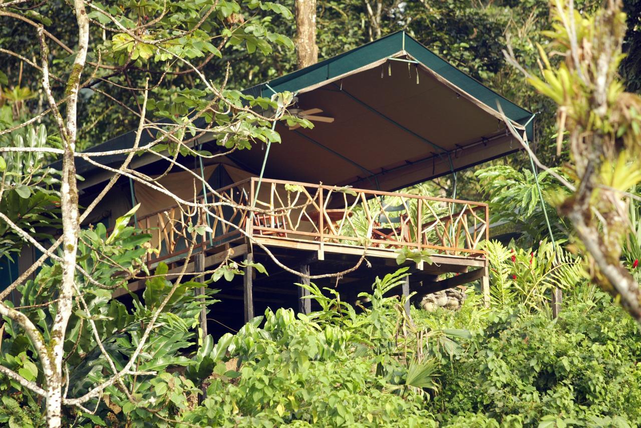 Rafiki Safari Lodge Савегре Номер фото